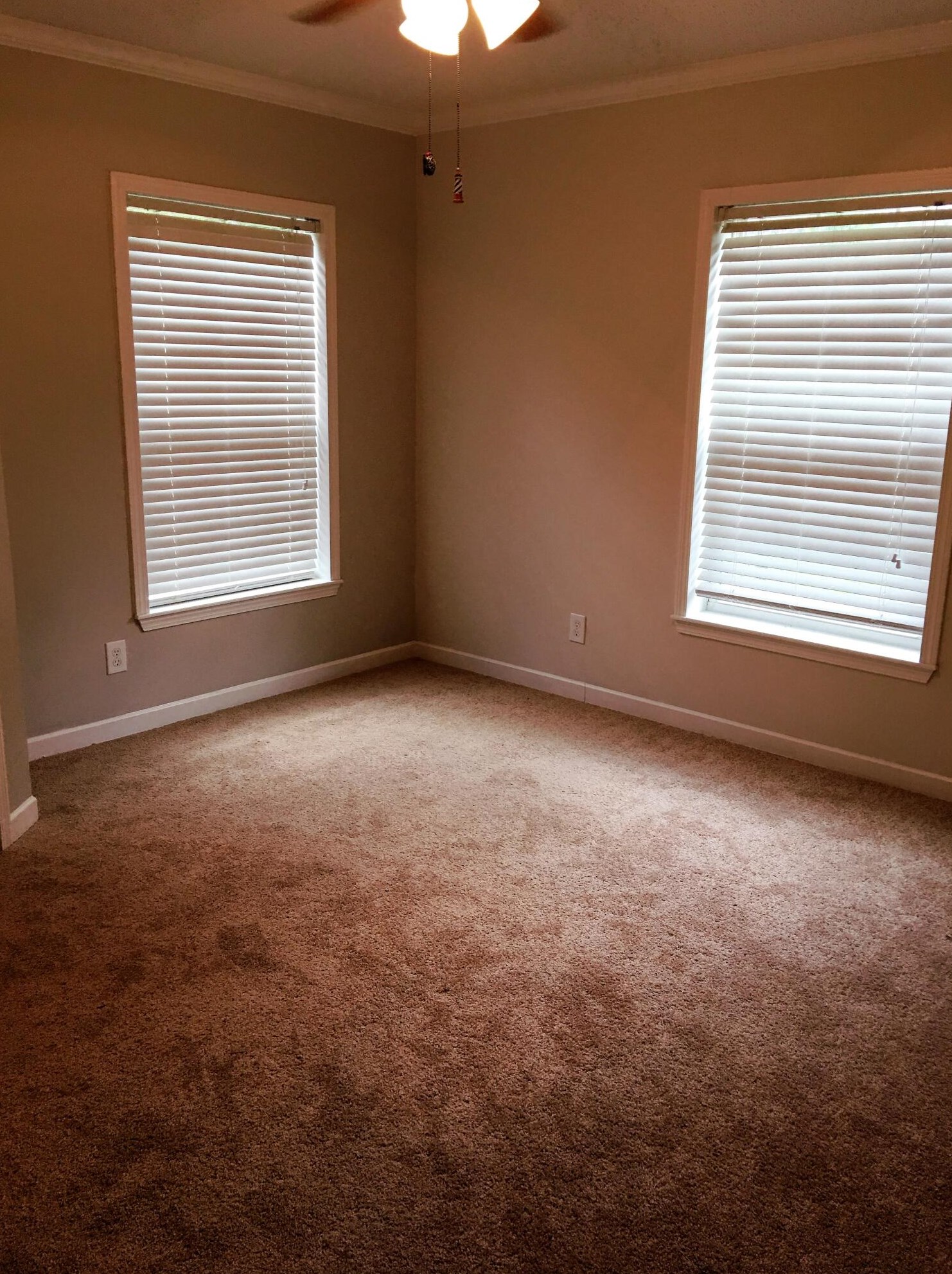 1785 Ruffin Rd, Walterboro SC 29488-9050 exterior