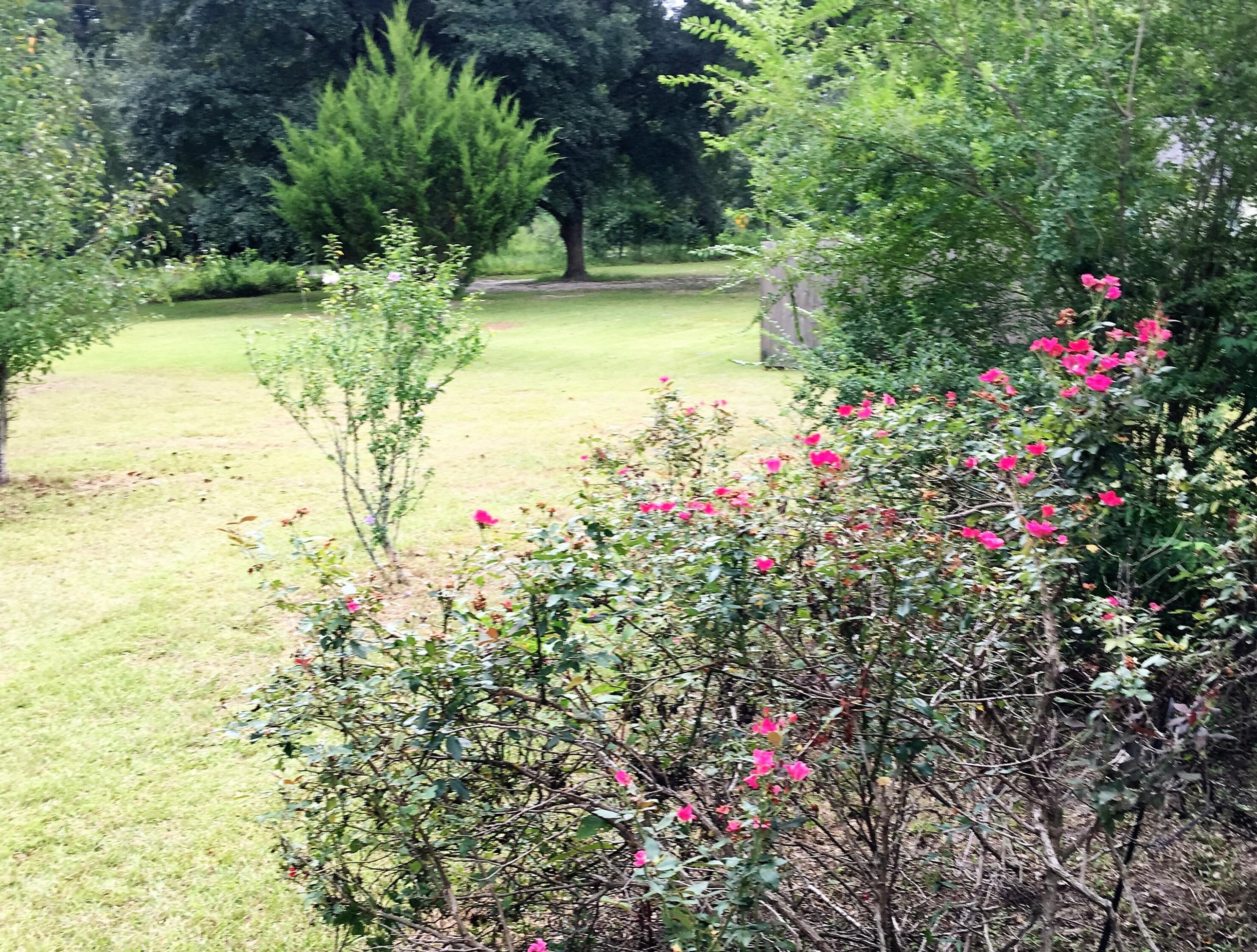 1785 Ruffin Rd, Walterboro SC 29488-9050 exterior