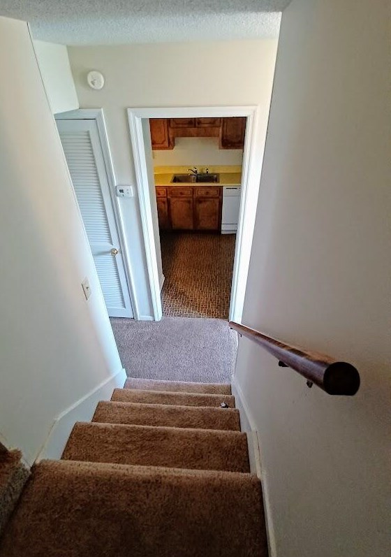 5048 Foxwood Dr, Charleston SC 29418-3282 exterior