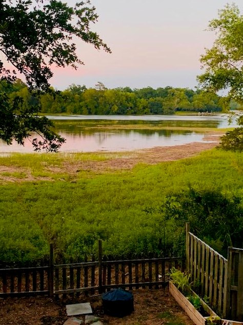 1483 Harborsun Dr, Charleston SC 29412-8289 exterior