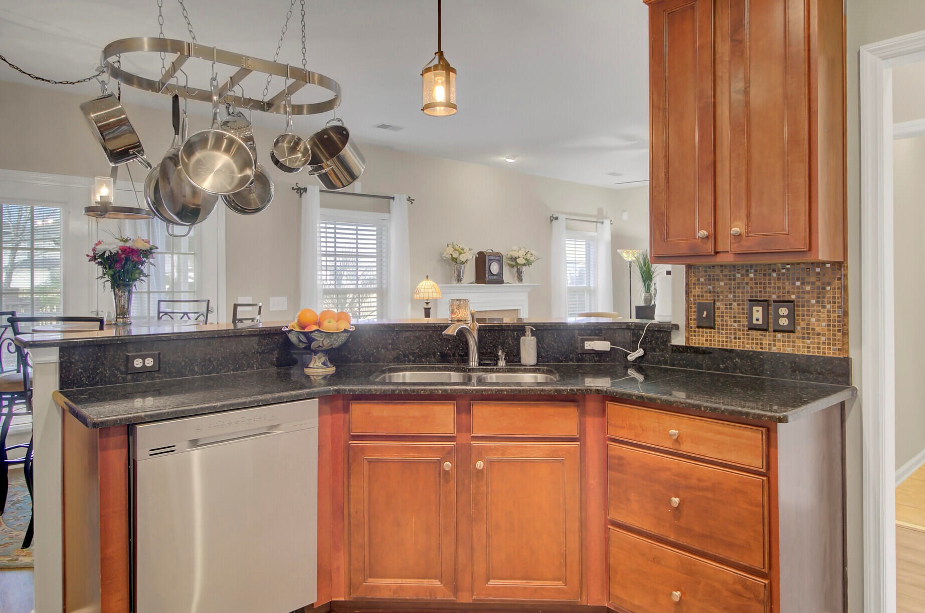 7328 Horned Grebe Ct, Charleston SC 29410-8274 exterior