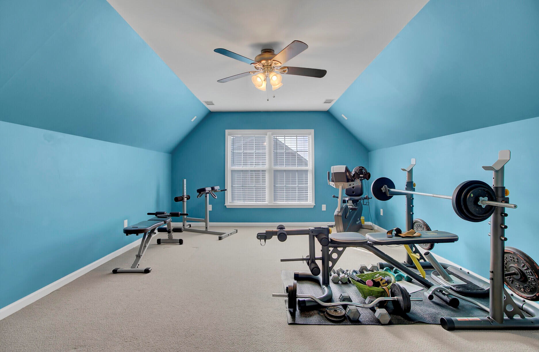 7328 Horned Grebe Ct, Charleston SC 29410-8274 exterior