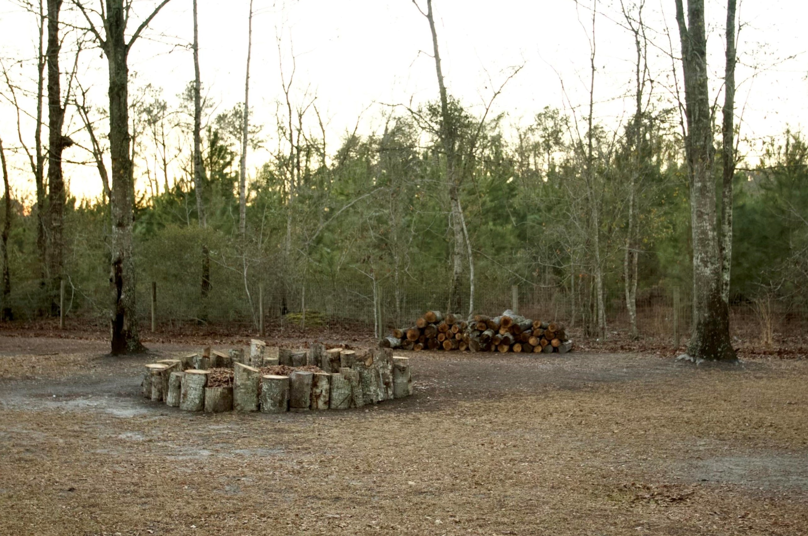 137 Audrey Ln, Walterboro SC  29488-6966 exterior