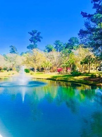 7807 Montview Rd, Charleston SC  29418-2258 exterior