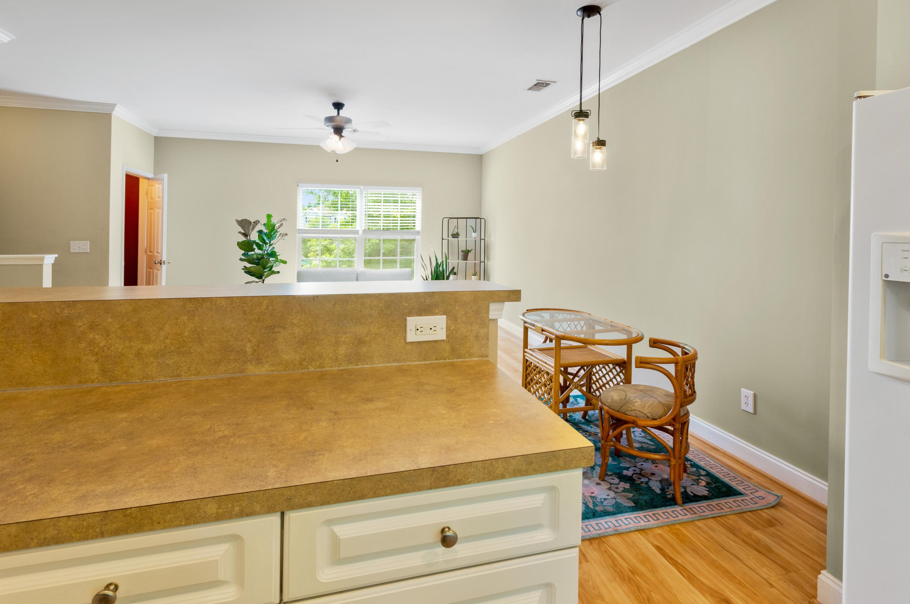 4027 Hartland St, Charleston SC 29414-6095 exterior