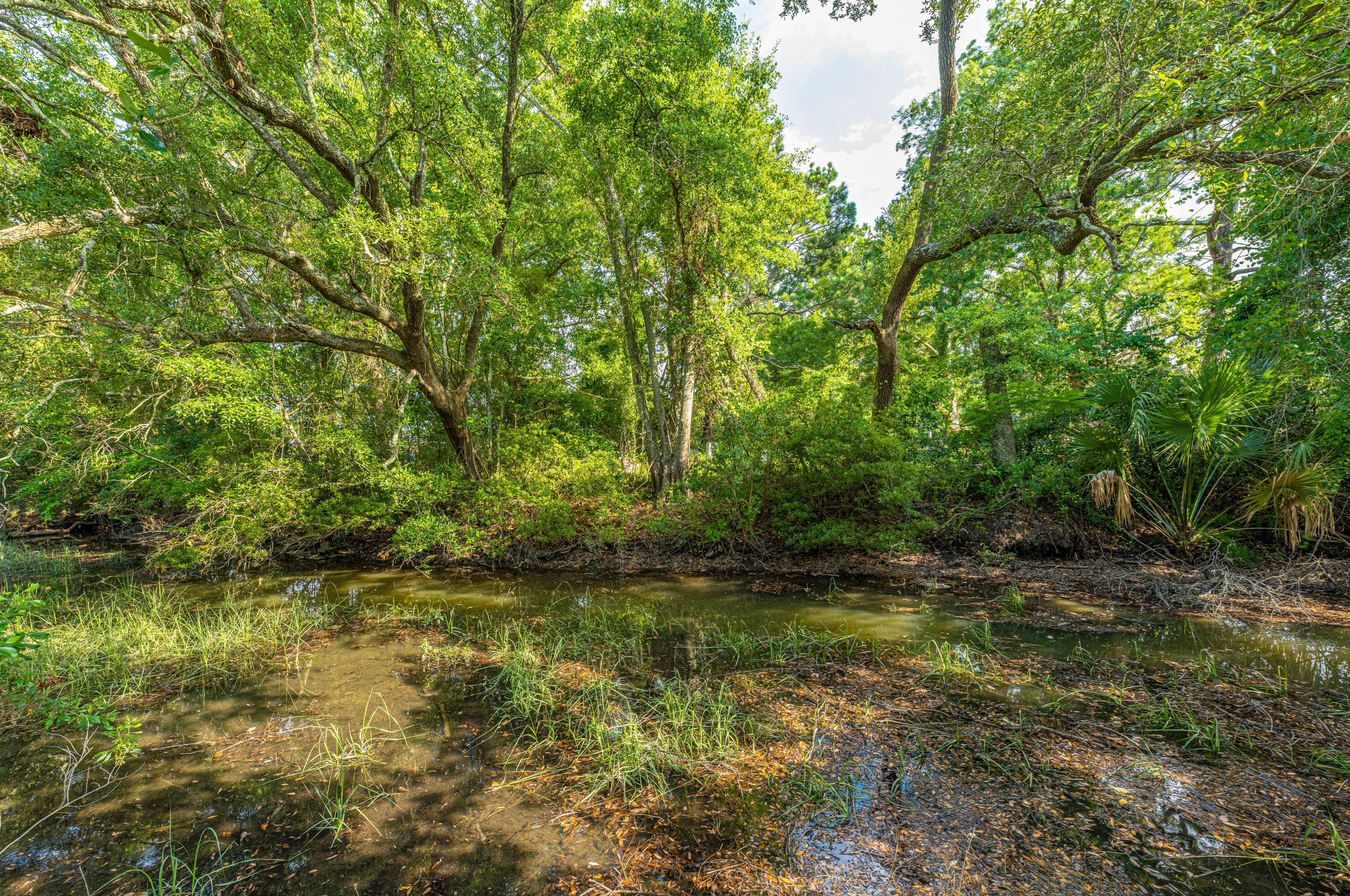 49 Oyster Point Row, Charleston SC  29412-3615 exterior