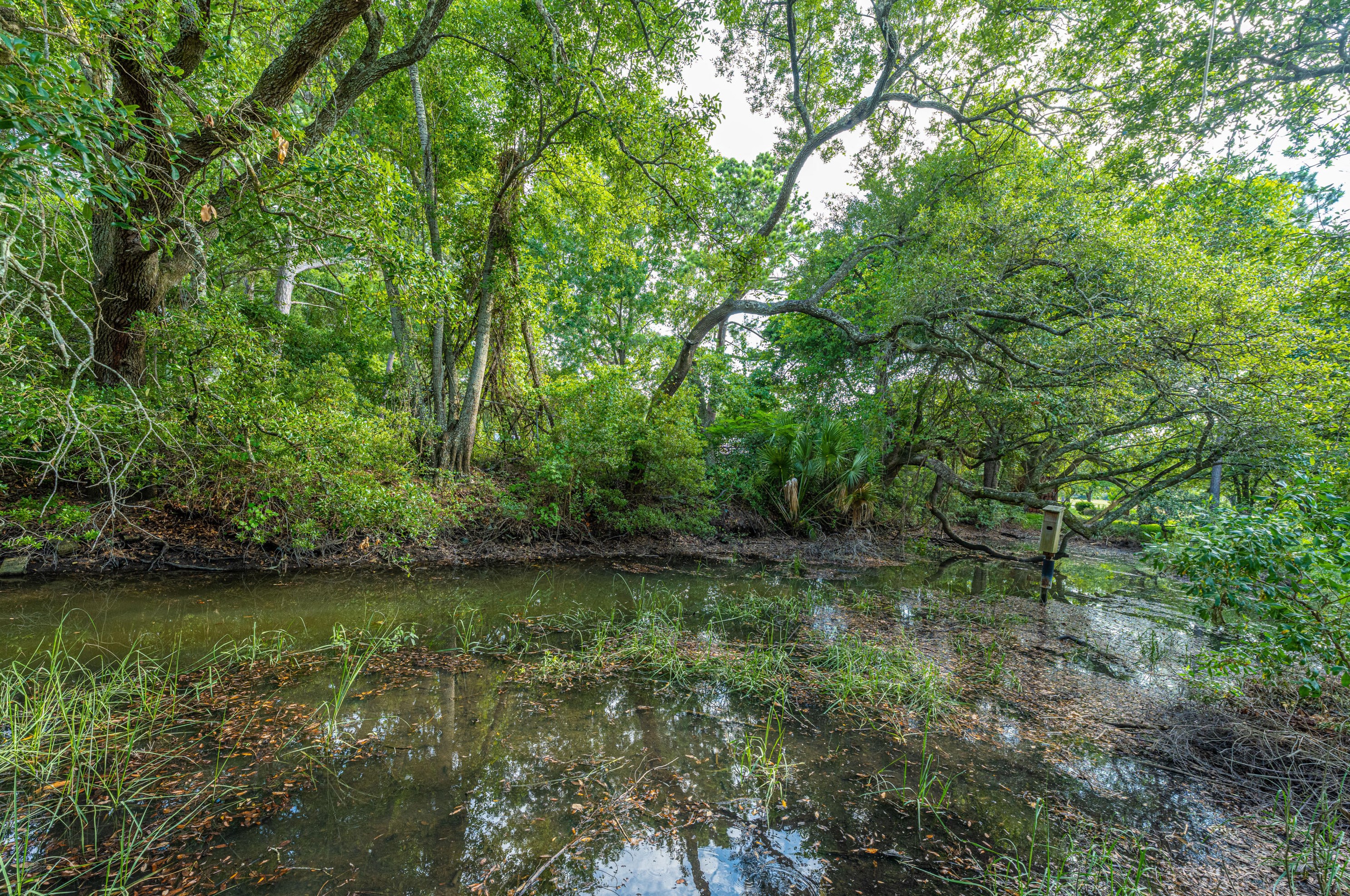 49 Oyster Point Row, Charleston SC  29412-3615 exterior