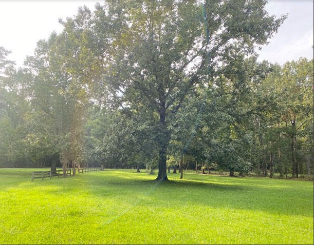 161 Wee Hope Loop, Walterboro SC  29488-7247 exterior