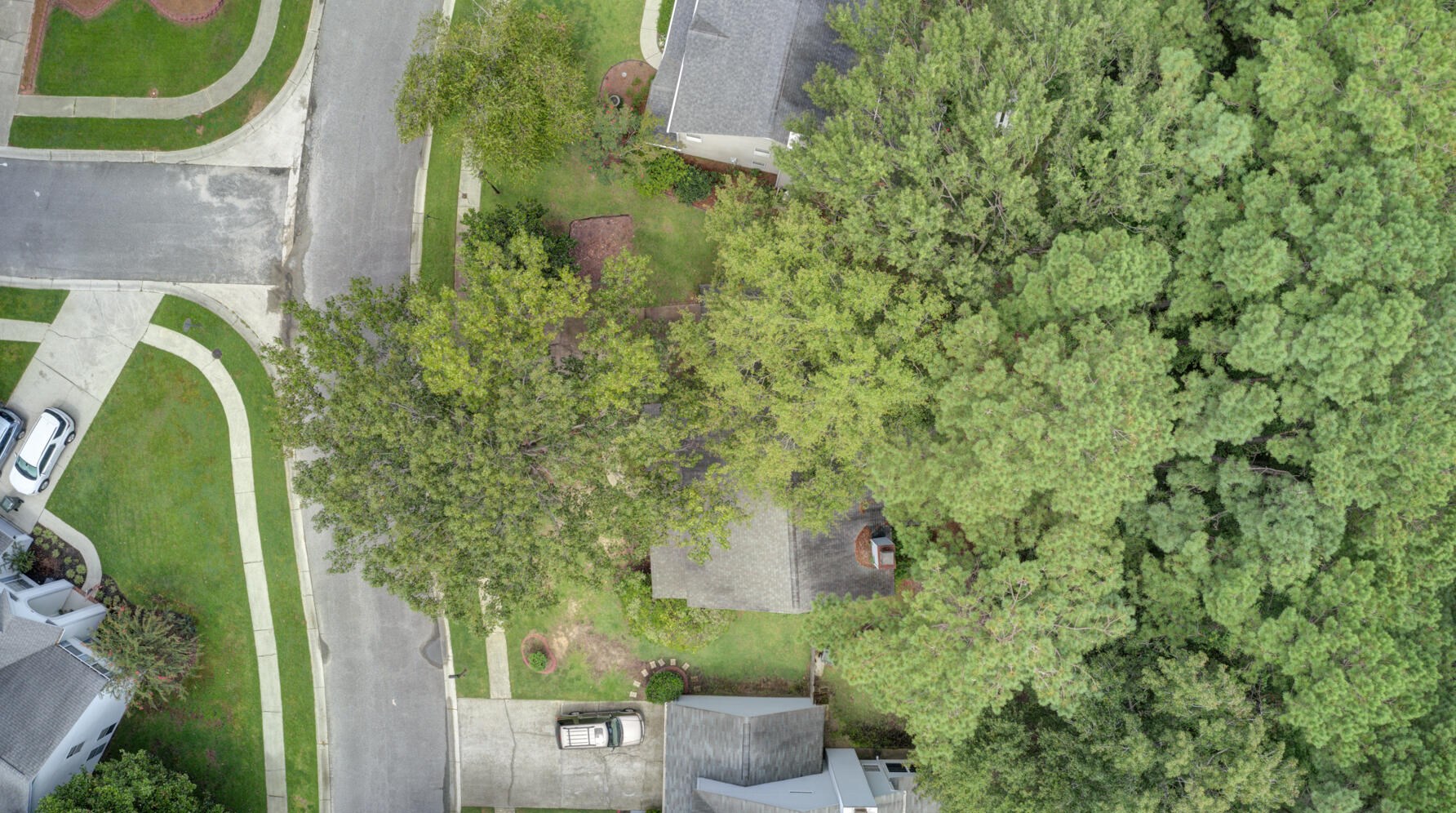 117 Isherwood Dr, Charleston SC exterior