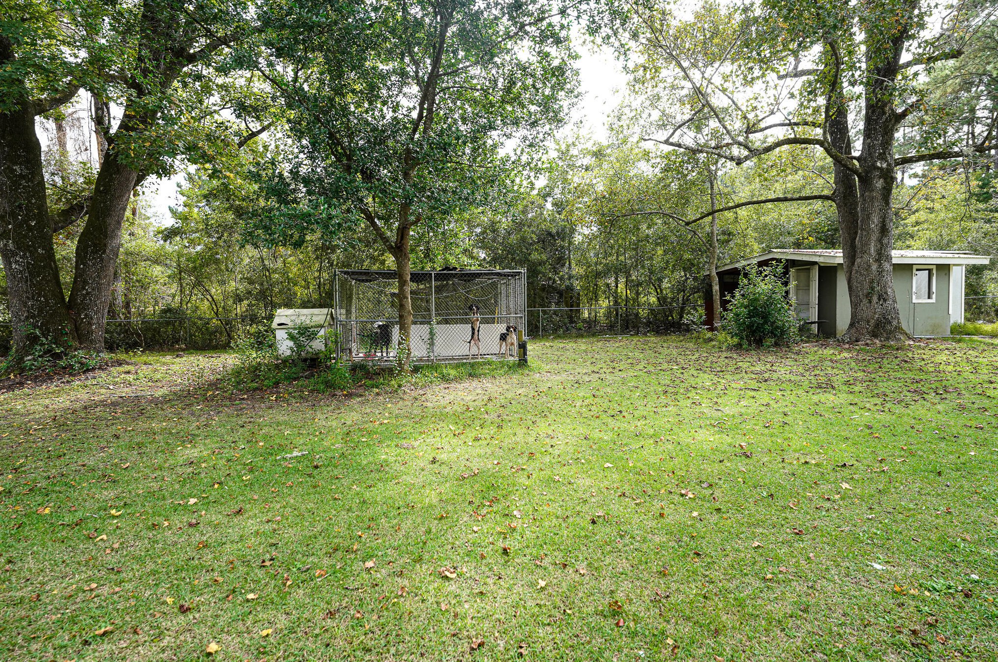 207 Catawba Hl Ct, Walterboro SC  29488-6689 exterior