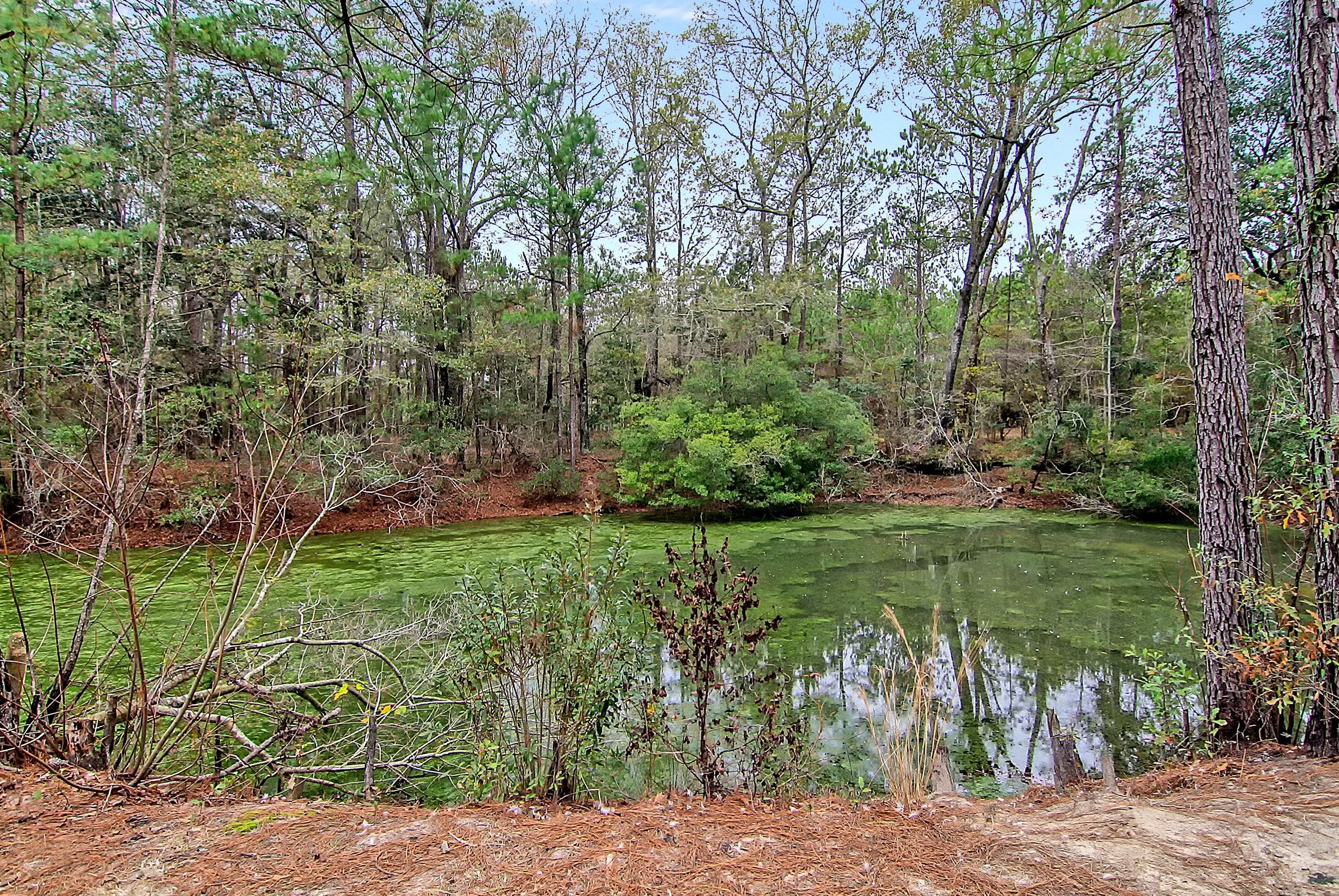 22 Sherrill Ln, Round O SC  29474-4375 exterior