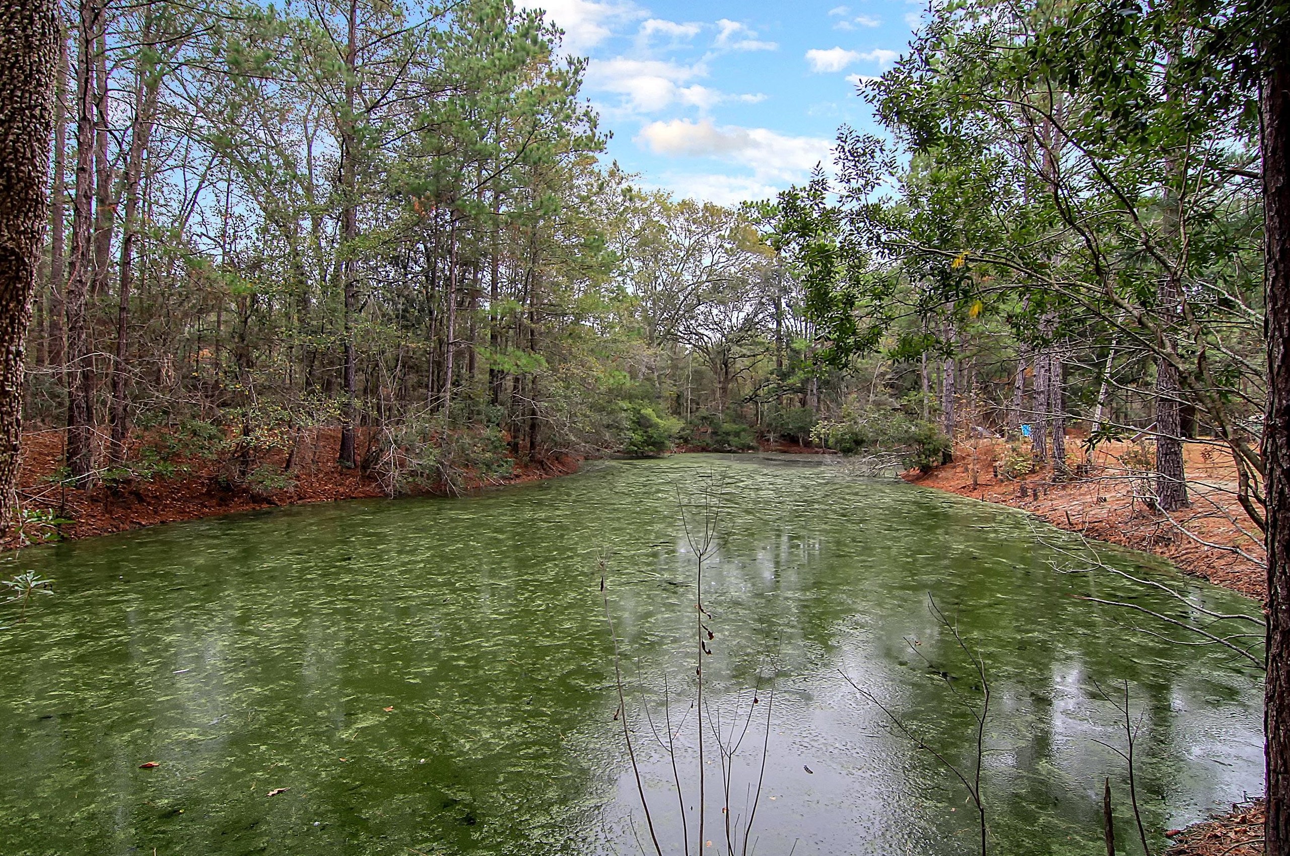22 Sherrill Ln, Round O SC  29474-4375 exterior