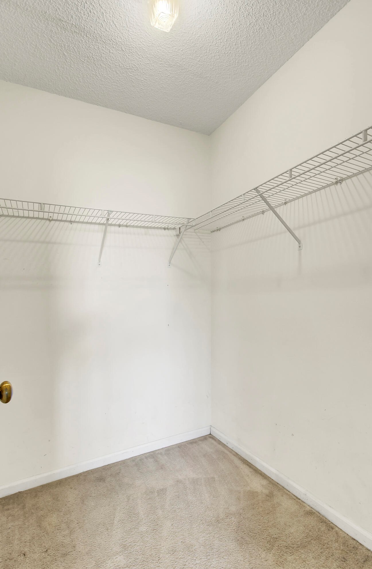 408 Courtland Dr, Summerville SC  29483-1710 exterior