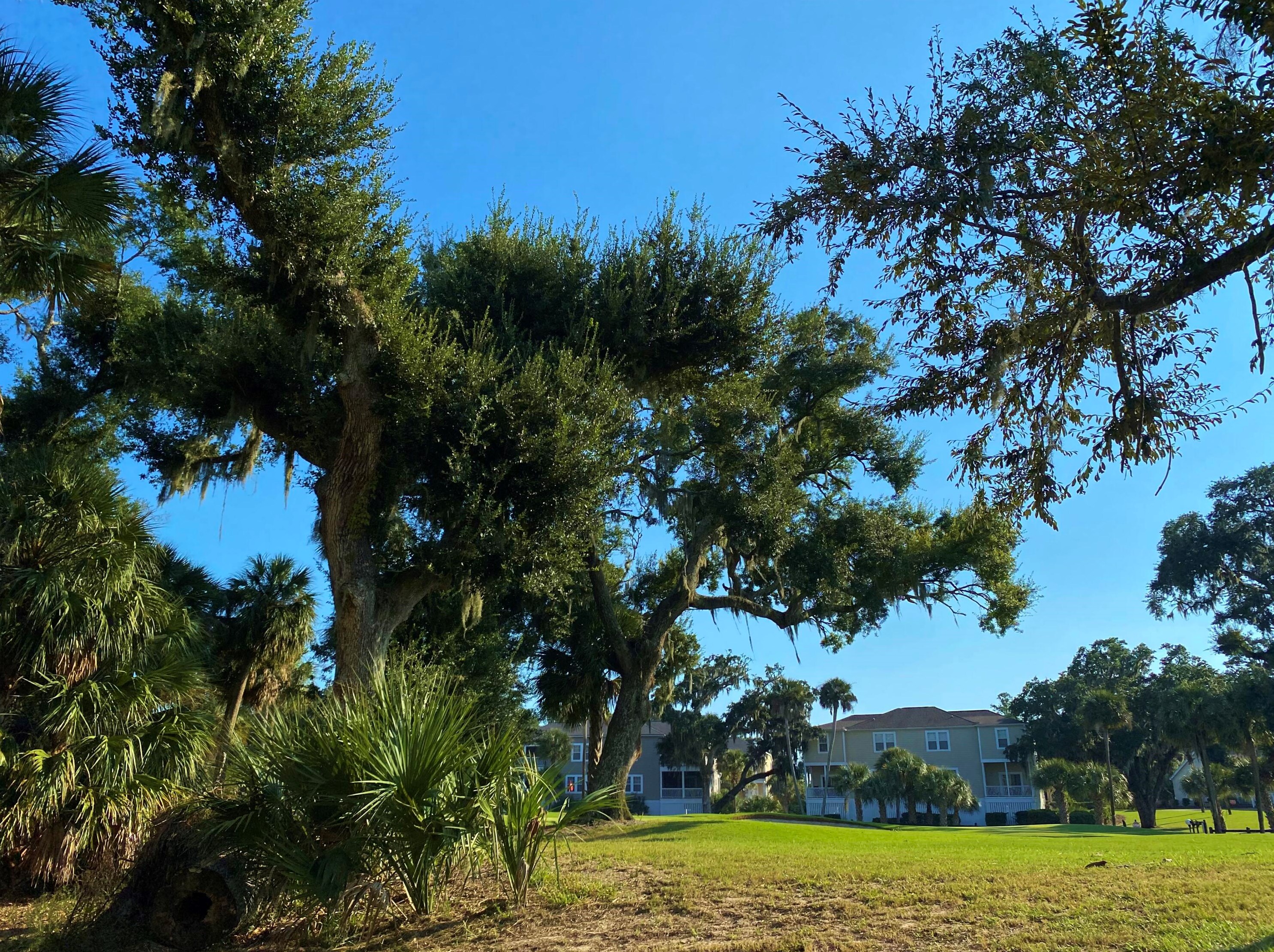 359 Sea Cloud Cir, Edisto SC  29438-3605 exterior