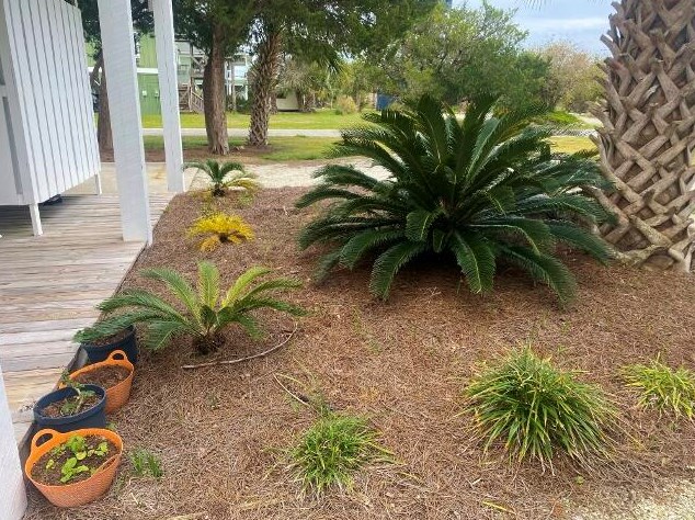 3606 Big Bay Dr, Edisto SC  29438-3702 exterior