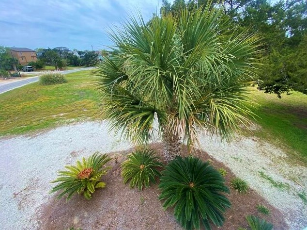 3606 Big Bay Dr, Edisto SC  29438-3702 exterior