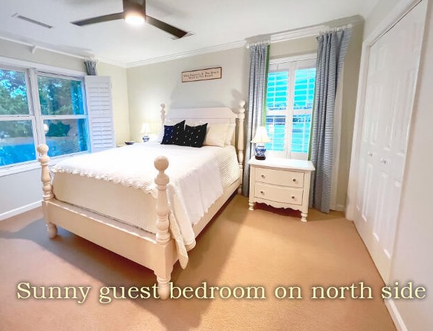 3606 Big Bay Dr, Edisto SC  29438-3702 exterior