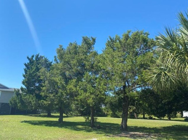 3606 Big Bay Dr, Edisto SC  29438-3702 exterior