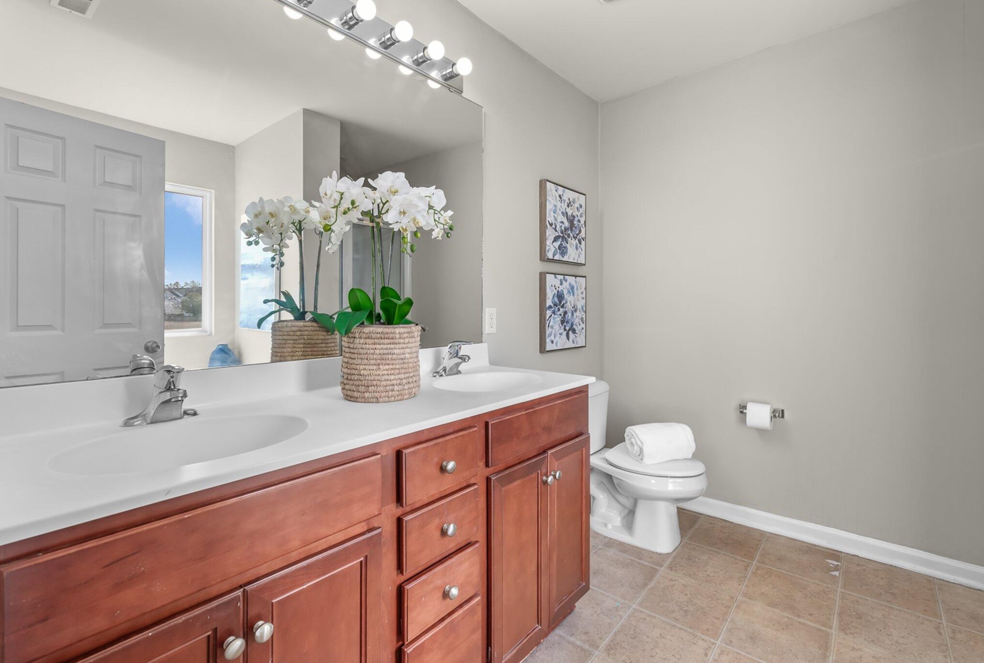 335 Peters Creek Dr, Summerville SC  29483-5341 exterior