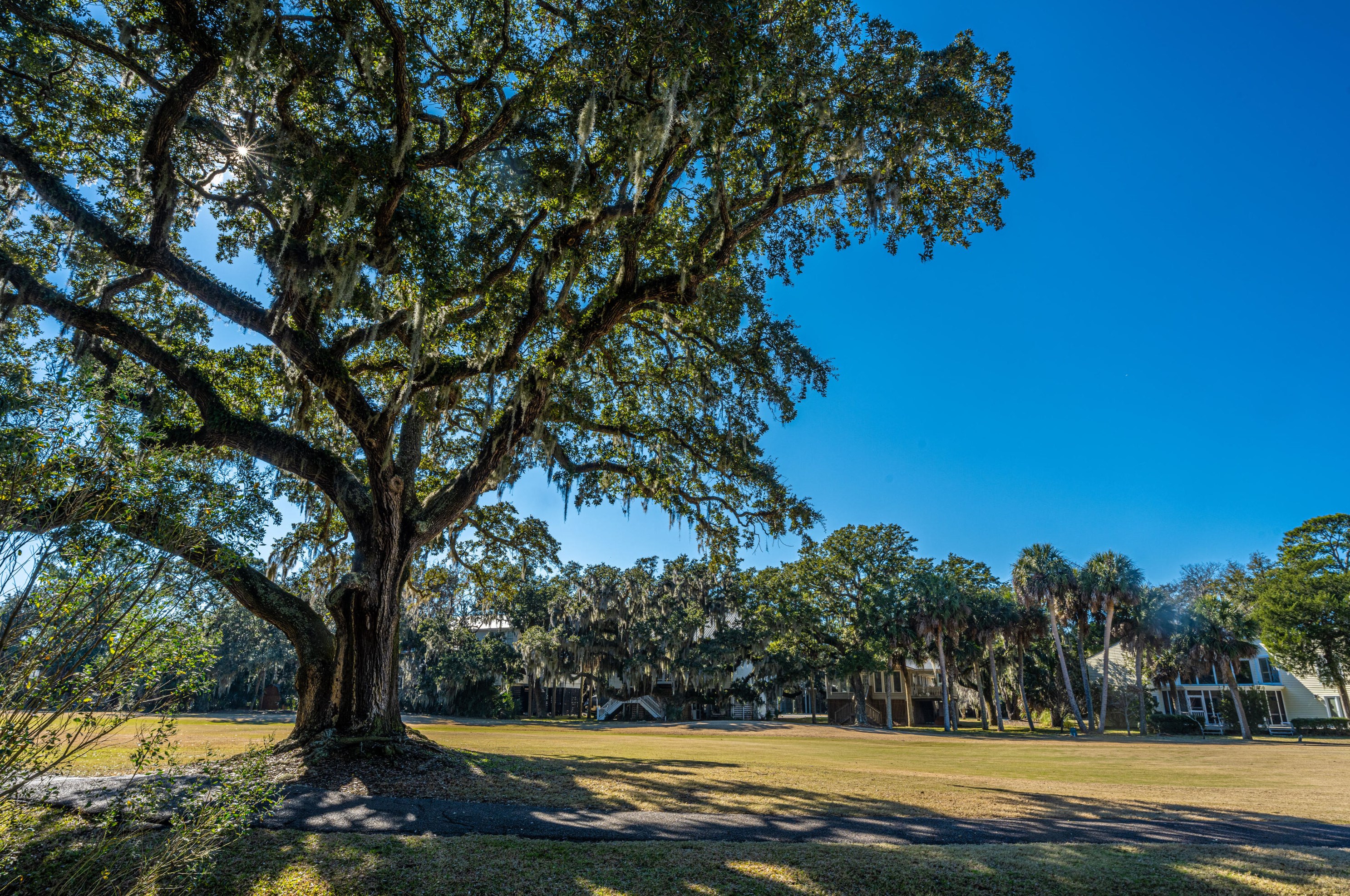 898 Fairway Dr, Edisto SC  29438-3647 exterior