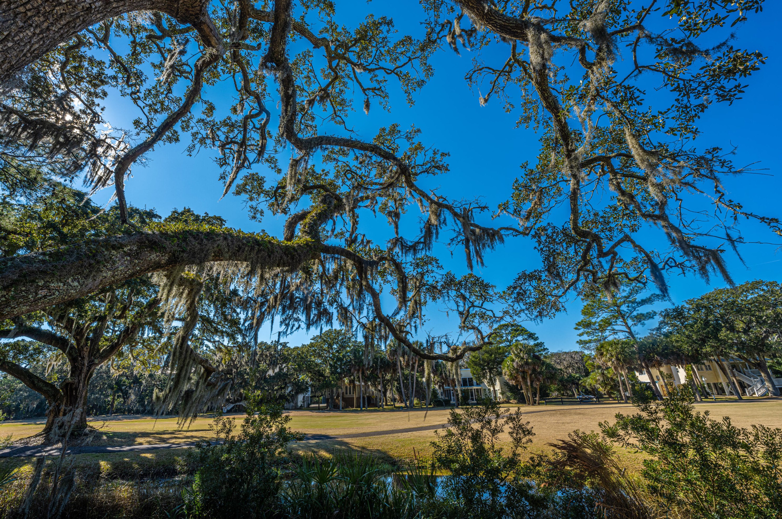 898 Fairway Dr, Edisto SC  29438-3647 exterior