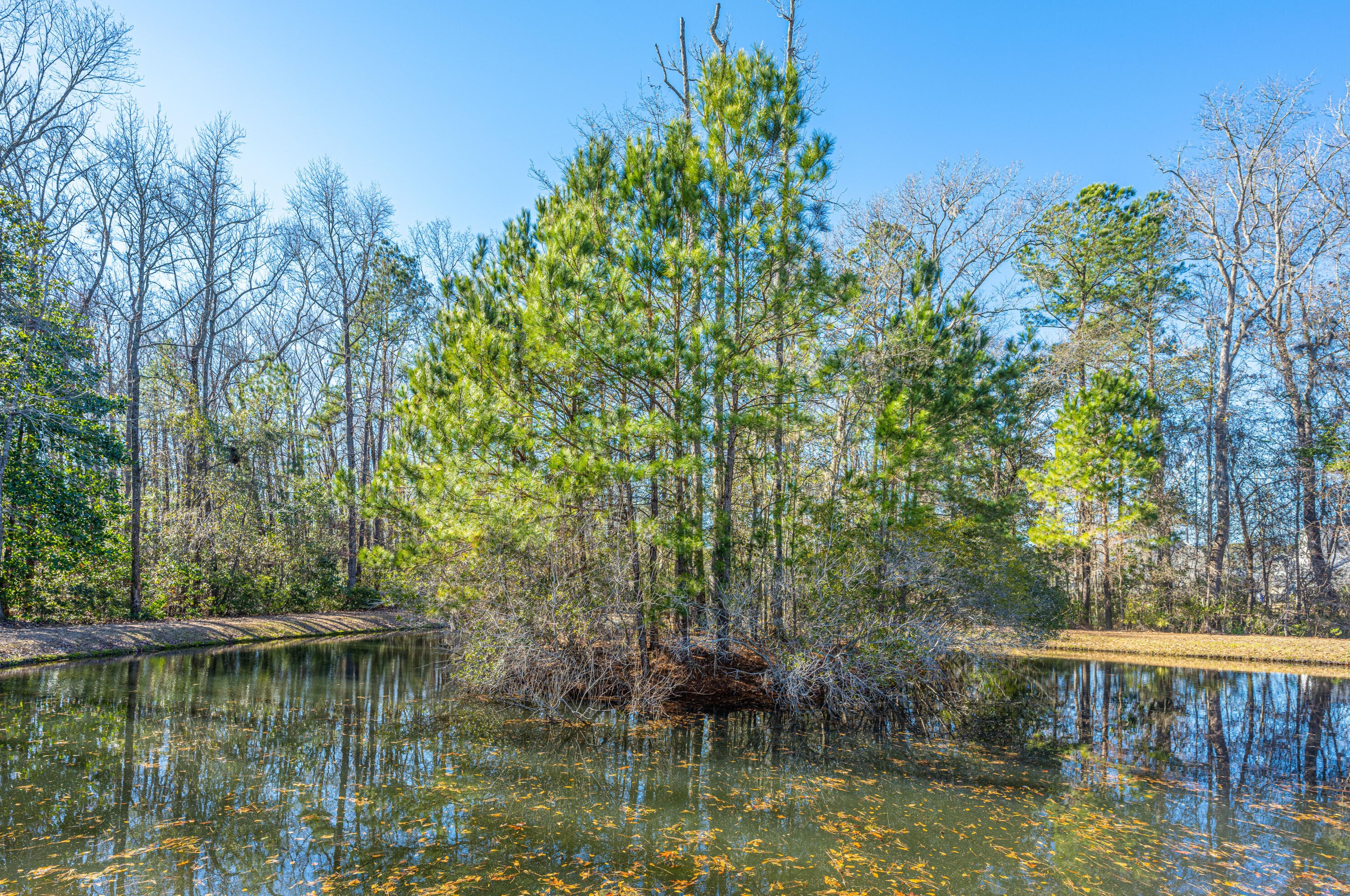 1587 Bluewater Way, Charleston SC 29414-7925 exterior