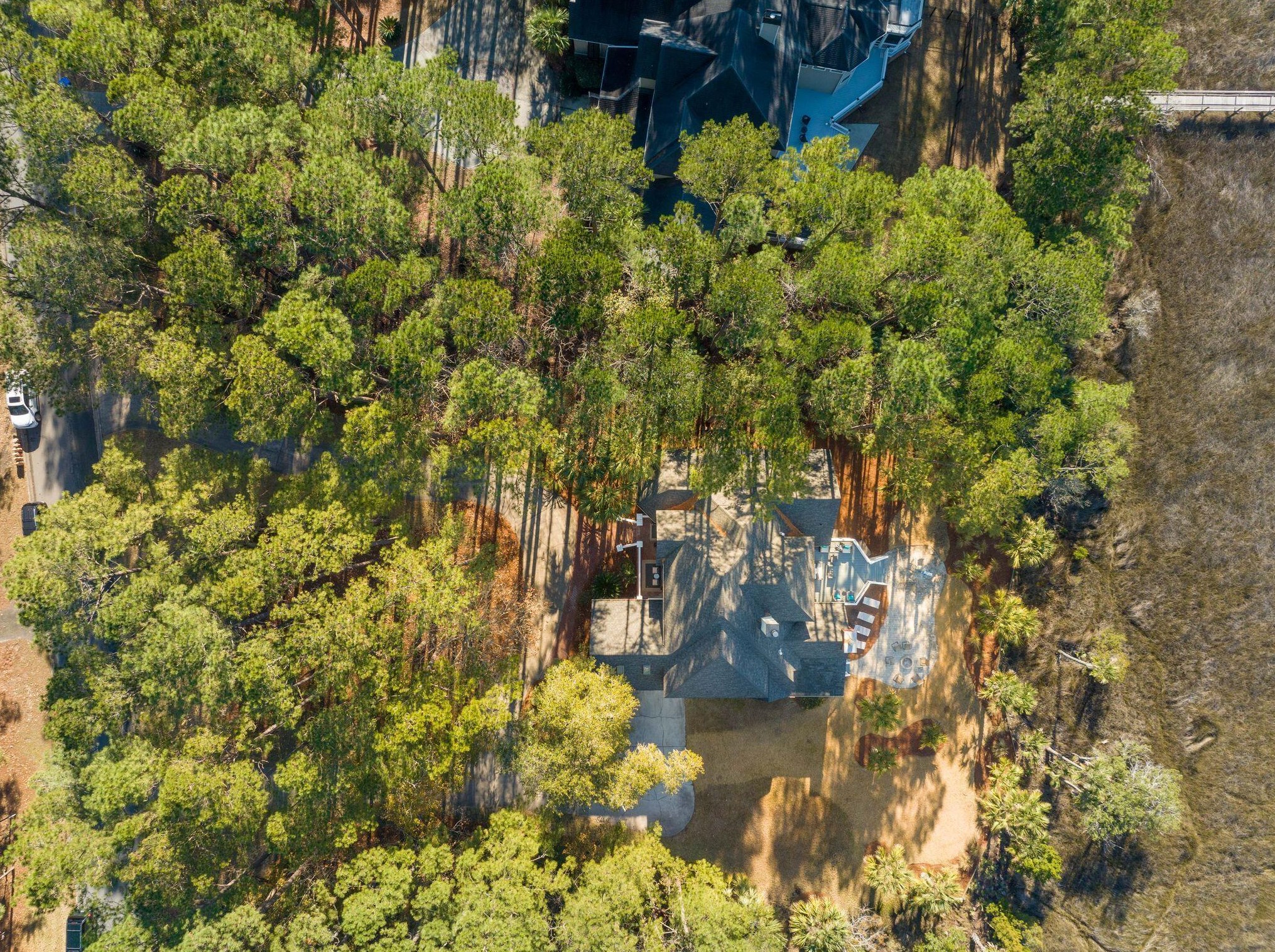 3004 Pignatelli Cres, Mount Pleasant SC  29466-8009 exterior