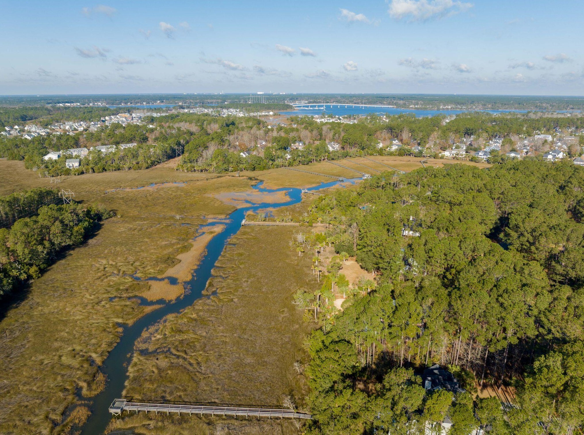 3004 Pignatelli Cres, Mount Pleasant SC  29466-8009 exterior