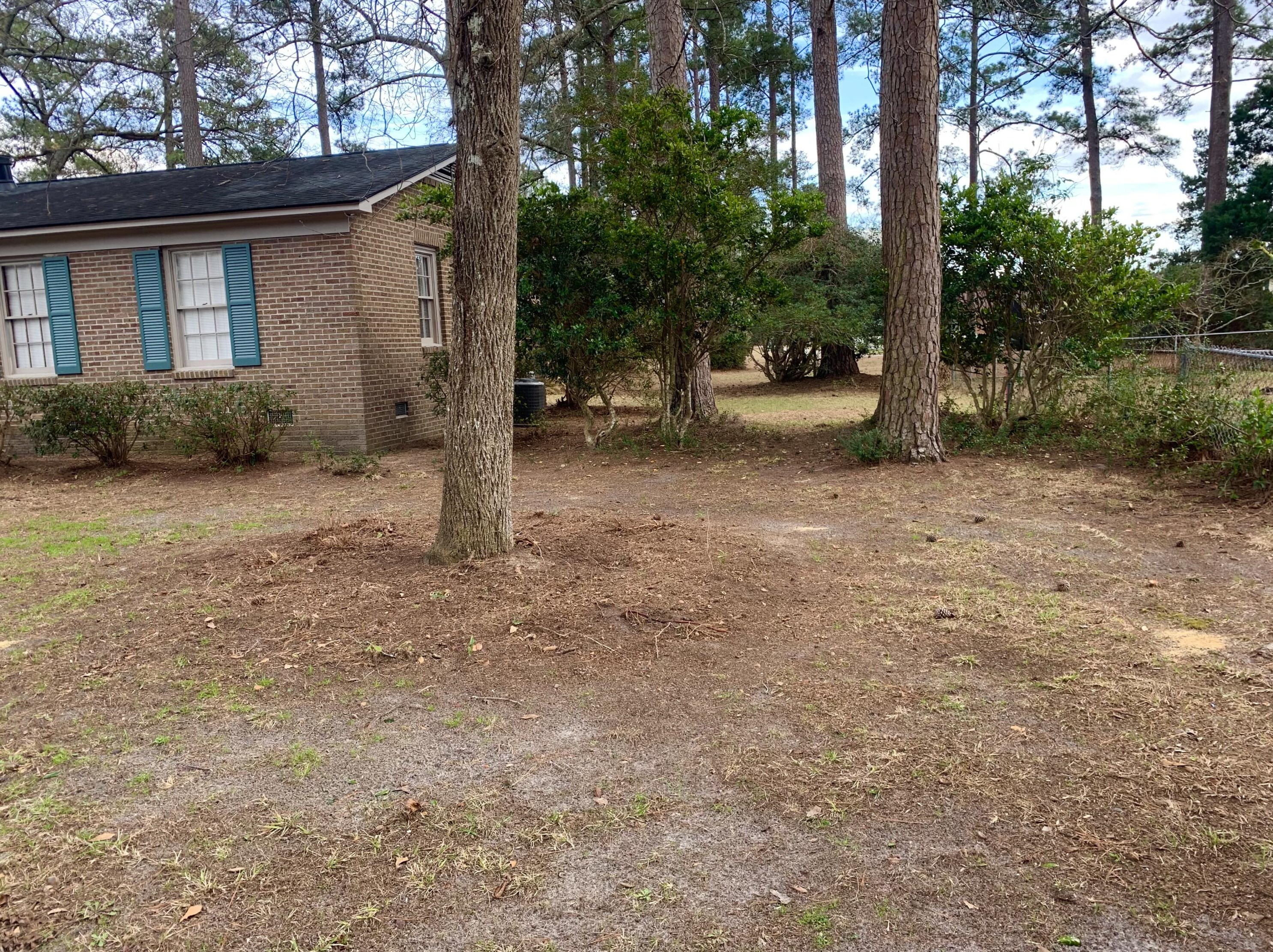 110 Shannon Rd, Walterboro SC  29488-2783 exterior
