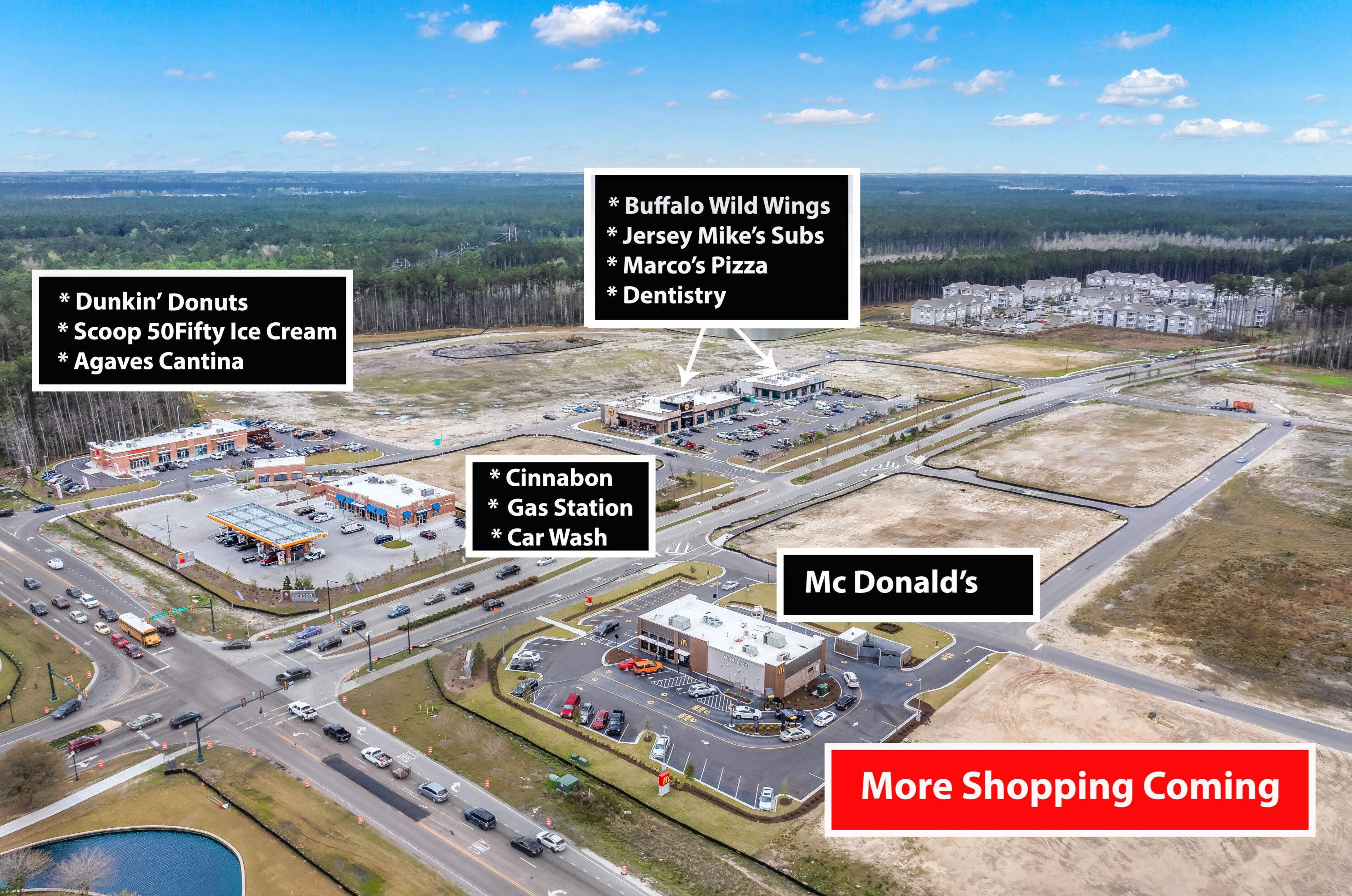 202 Decatur Dr, Summerville SC  29483-5342 exterior