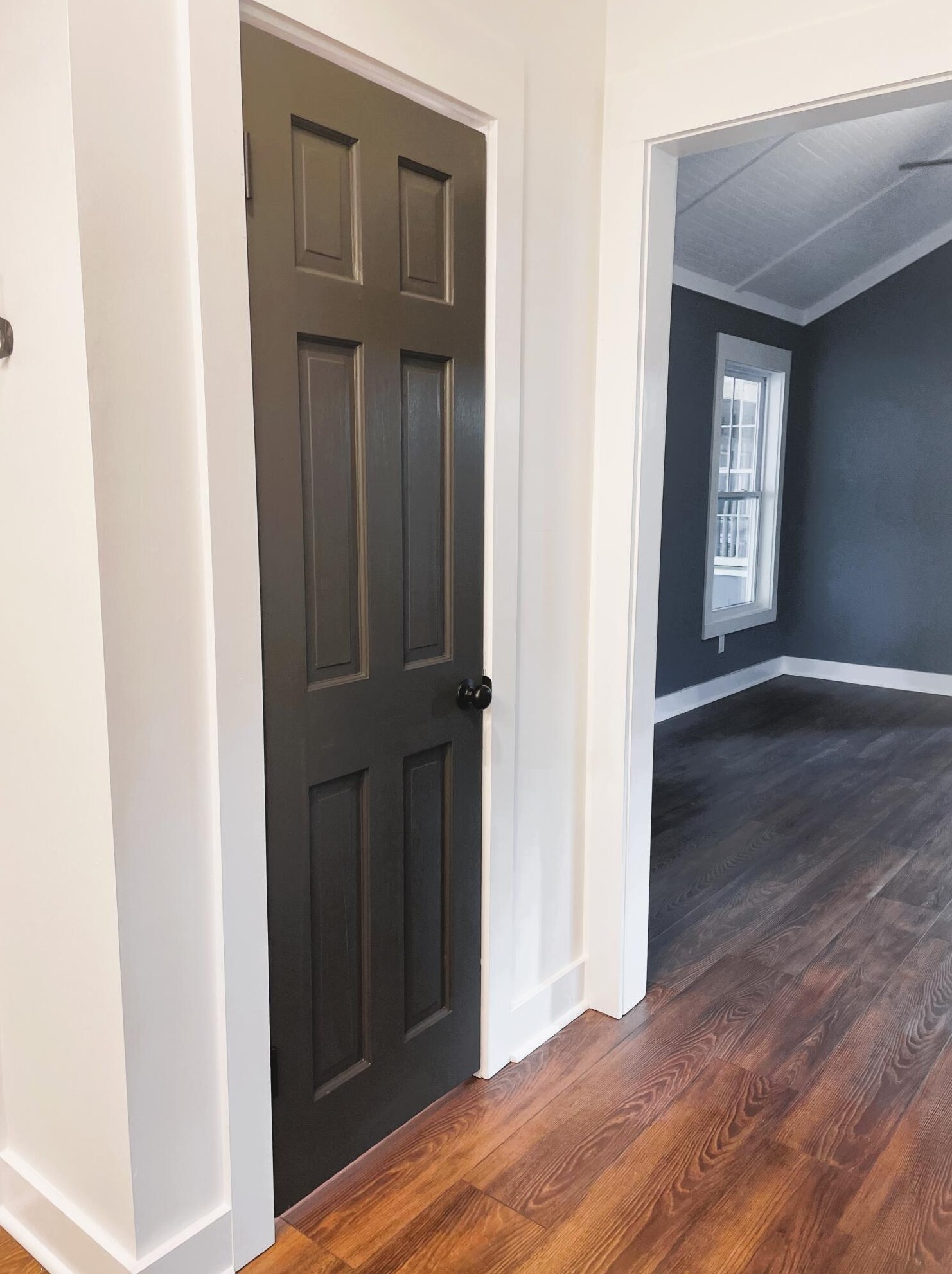 223 Hayden St, Walterboro SC  29488-4224 exterior