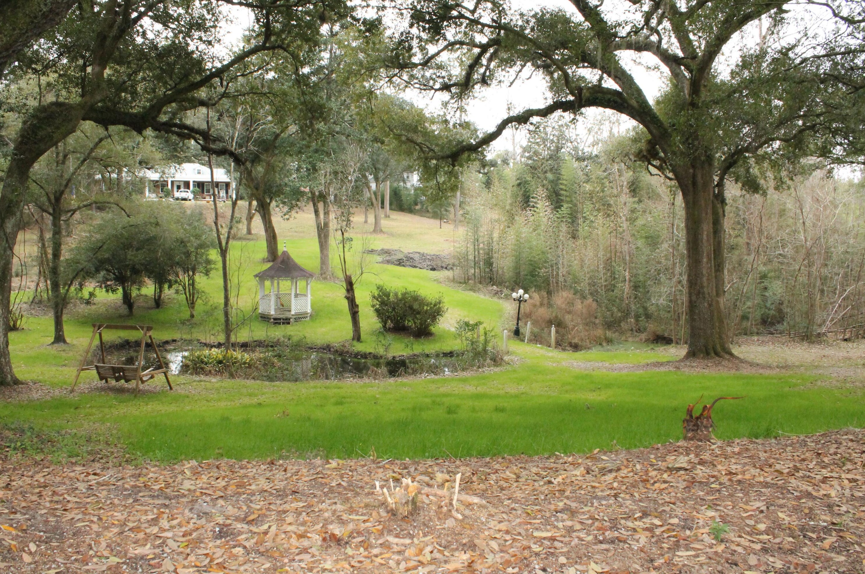203 Witsell St, Walterboro SC  29488-3050 exterior