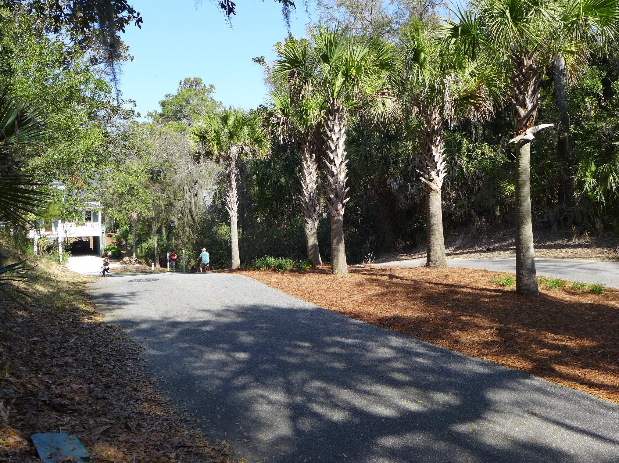504 Hutto Ln, Edisto SC  29438-3604 exterior