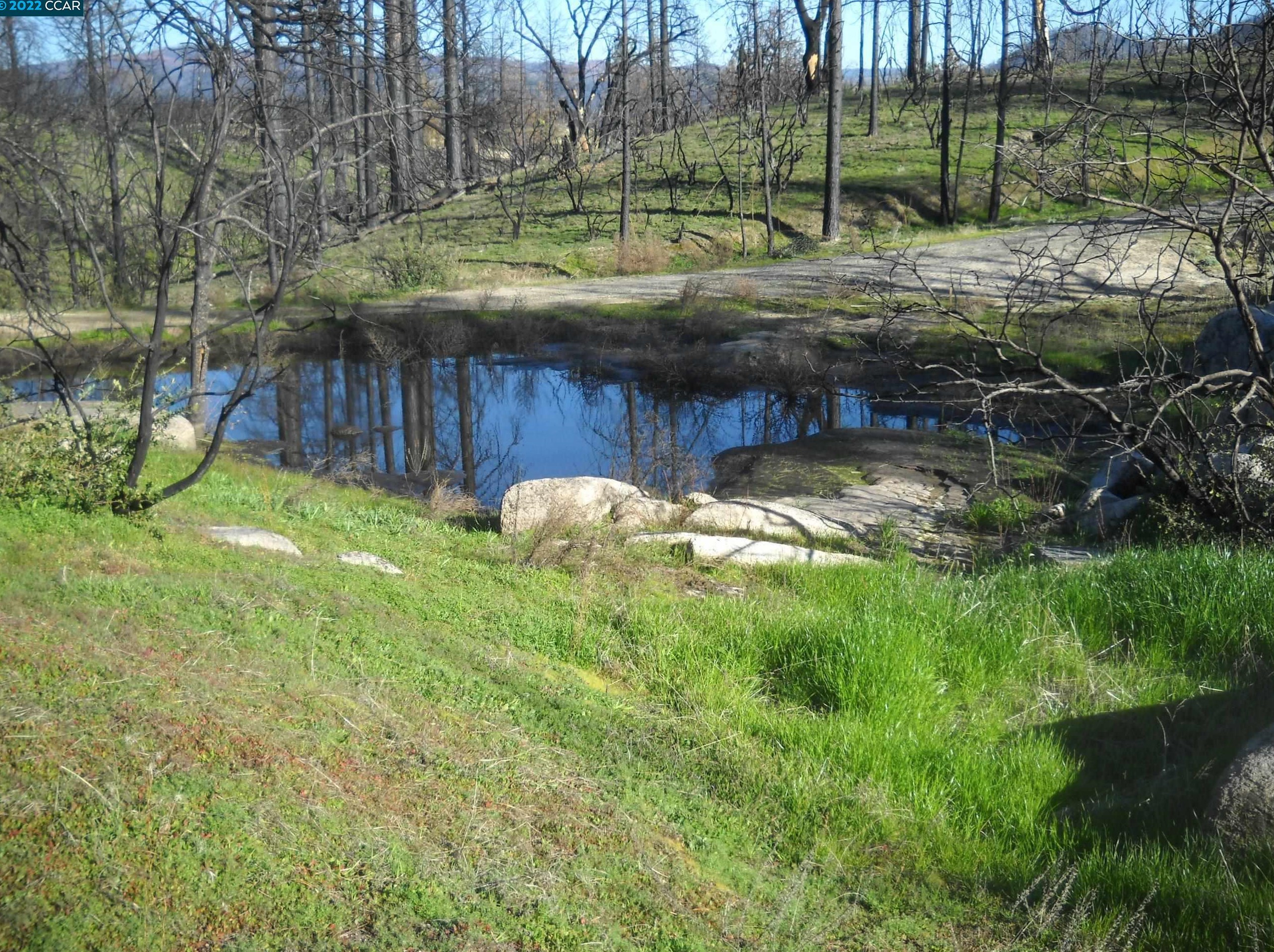 275 Harrison Springs Rd, Berry Creek, CA 95916 MLS 40982982