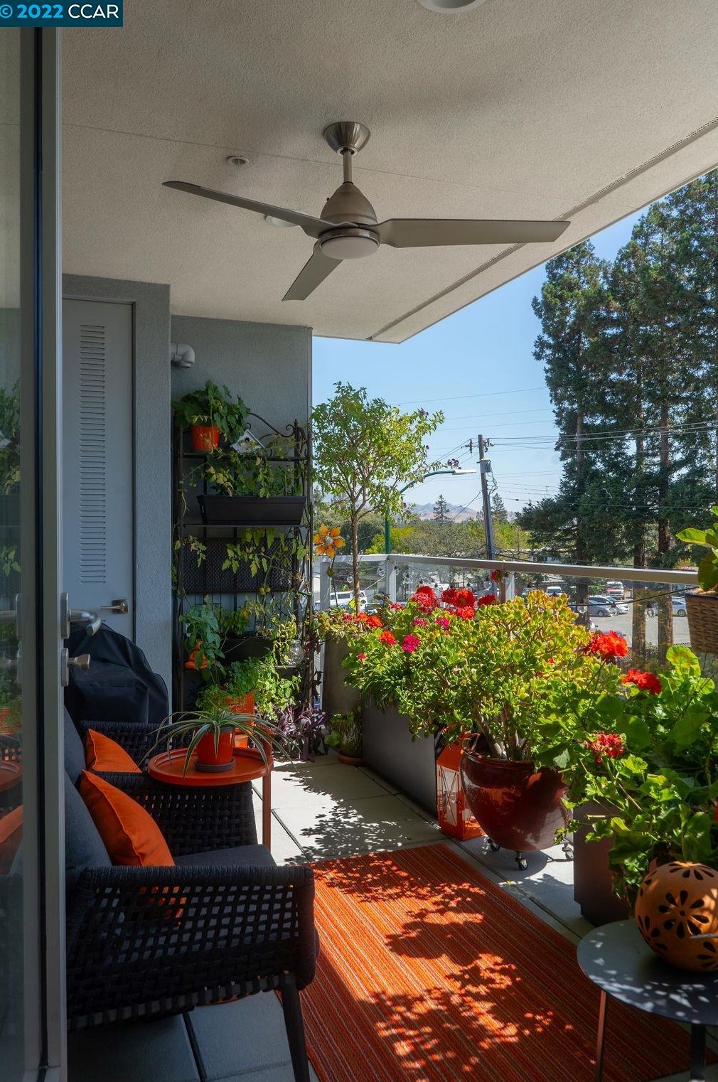 1954 Trinity Ave, Walnut Creek CA  94596-4037 exterior