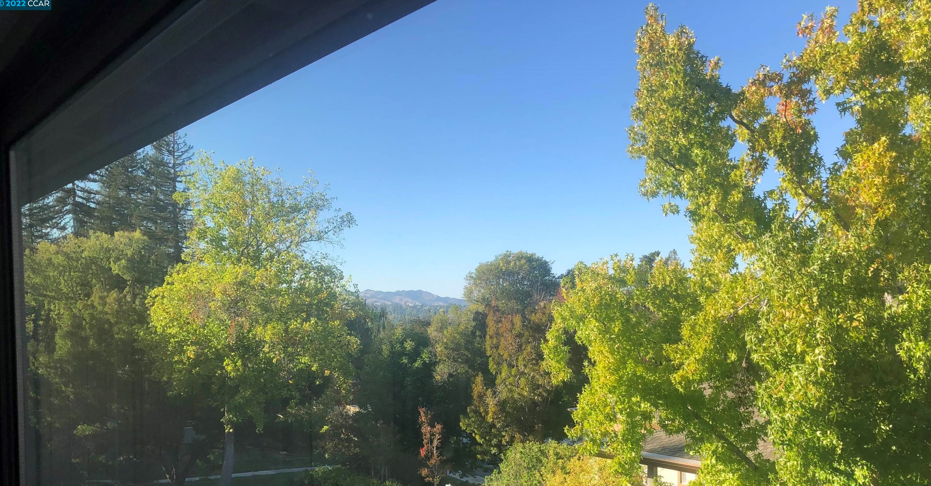 3341 Tice Creek Dr, Walnut Creek CA  94595-3713 exterior