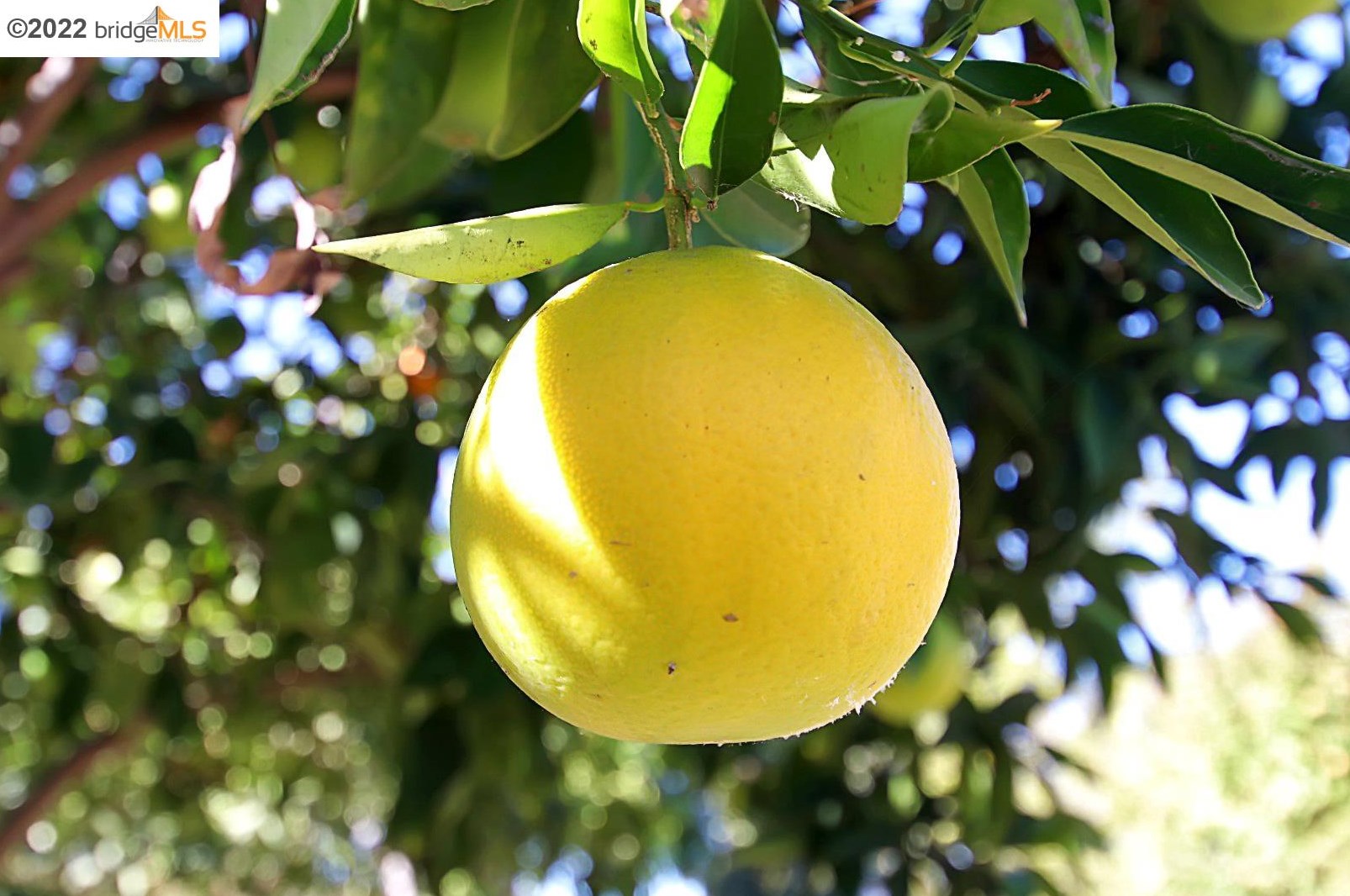 29 15th St, Antioch CA  94509-2452 exterior