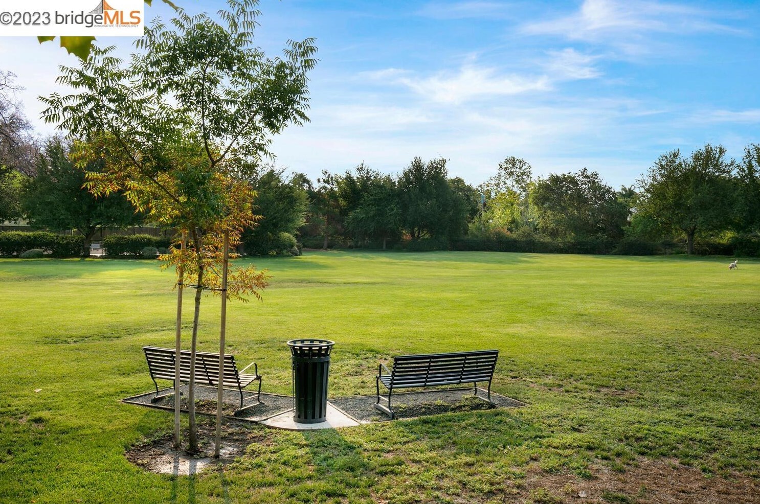 1760 Duchess Ter, Los Angeles CA  94513-2642 exterior