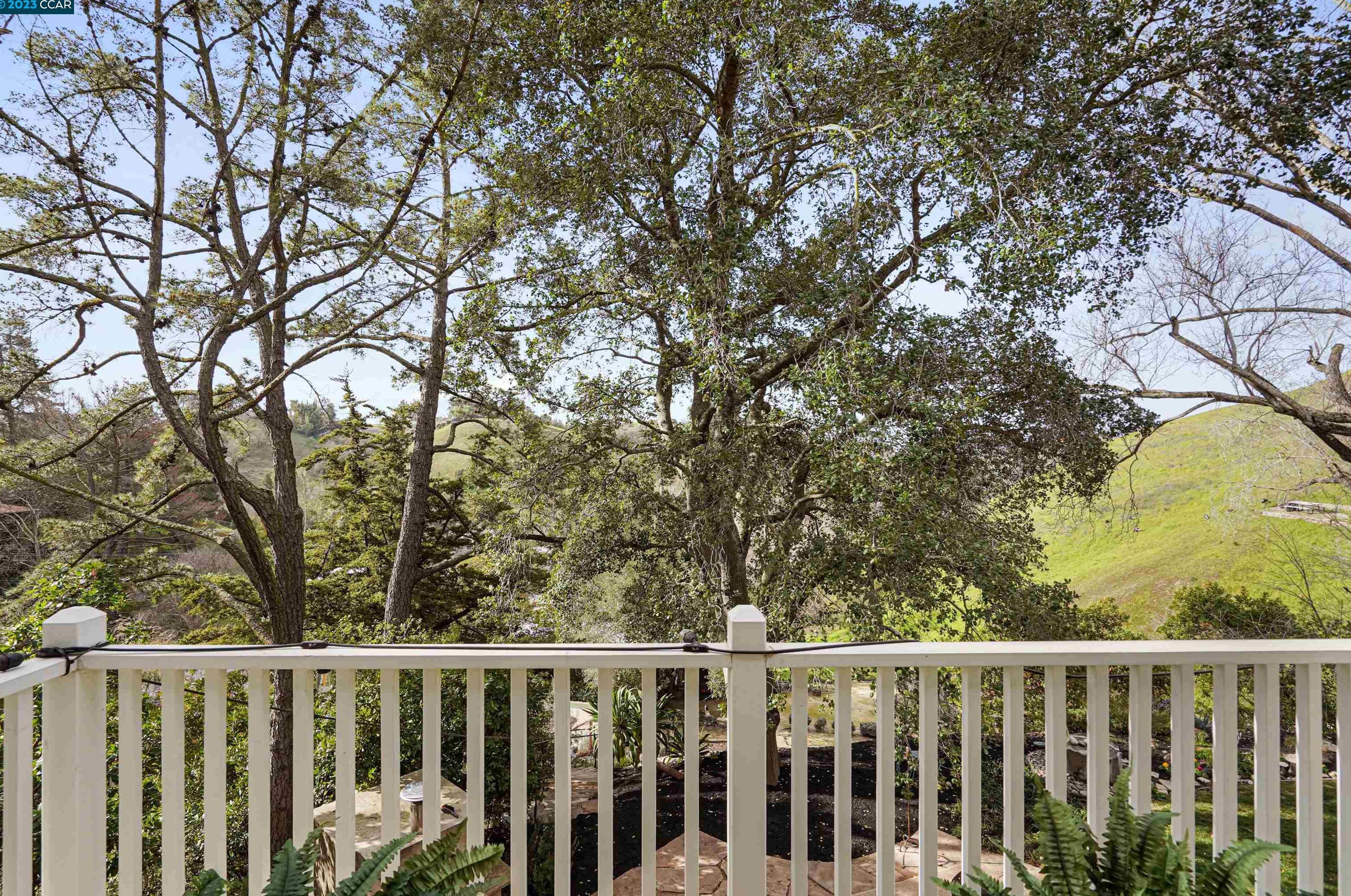 37 Bacon Ct, Lafayette CA  94549-6232 exterior