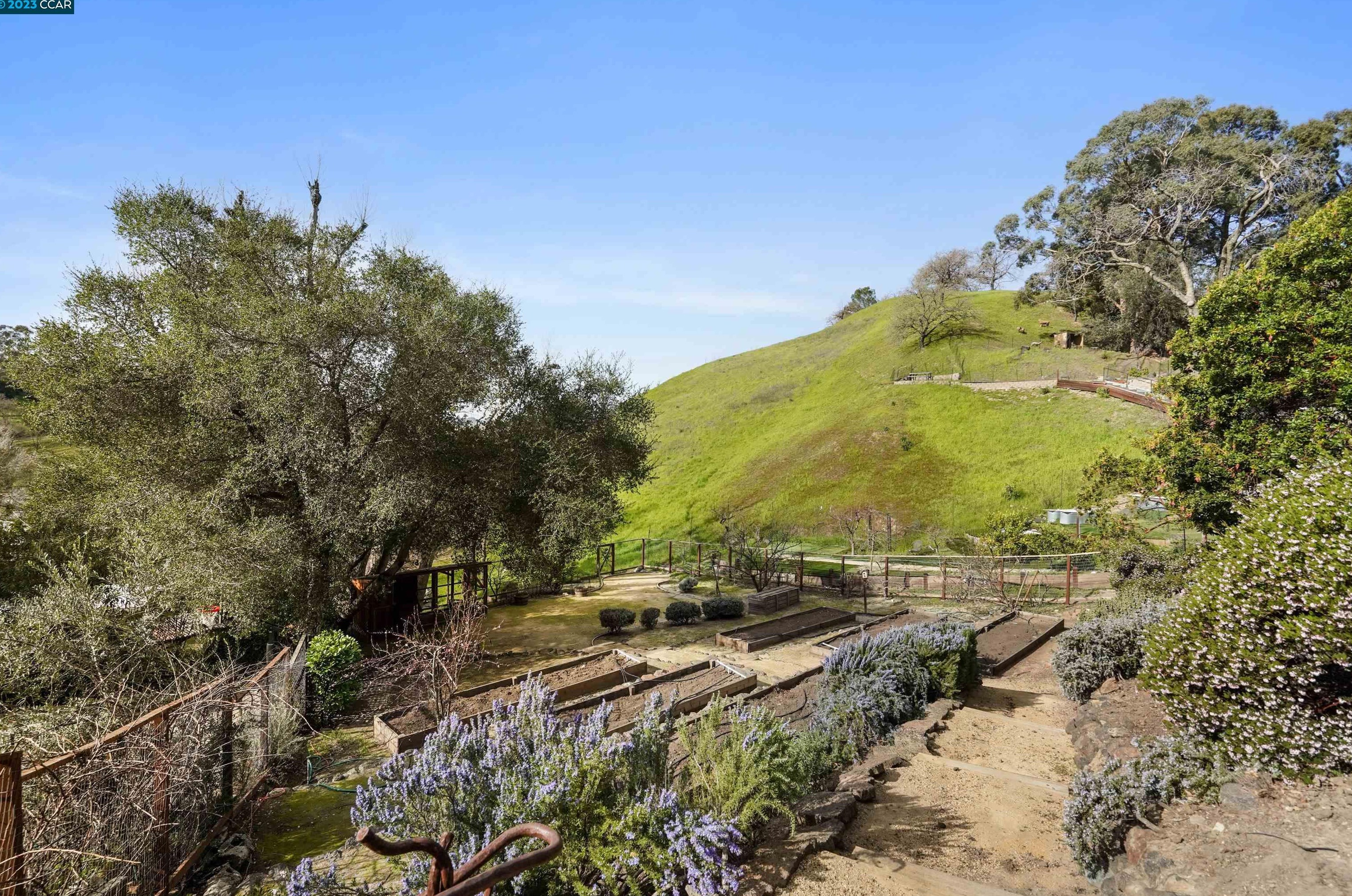 37 Bacon Ct, Lafayette CA  94549-6232 exterior