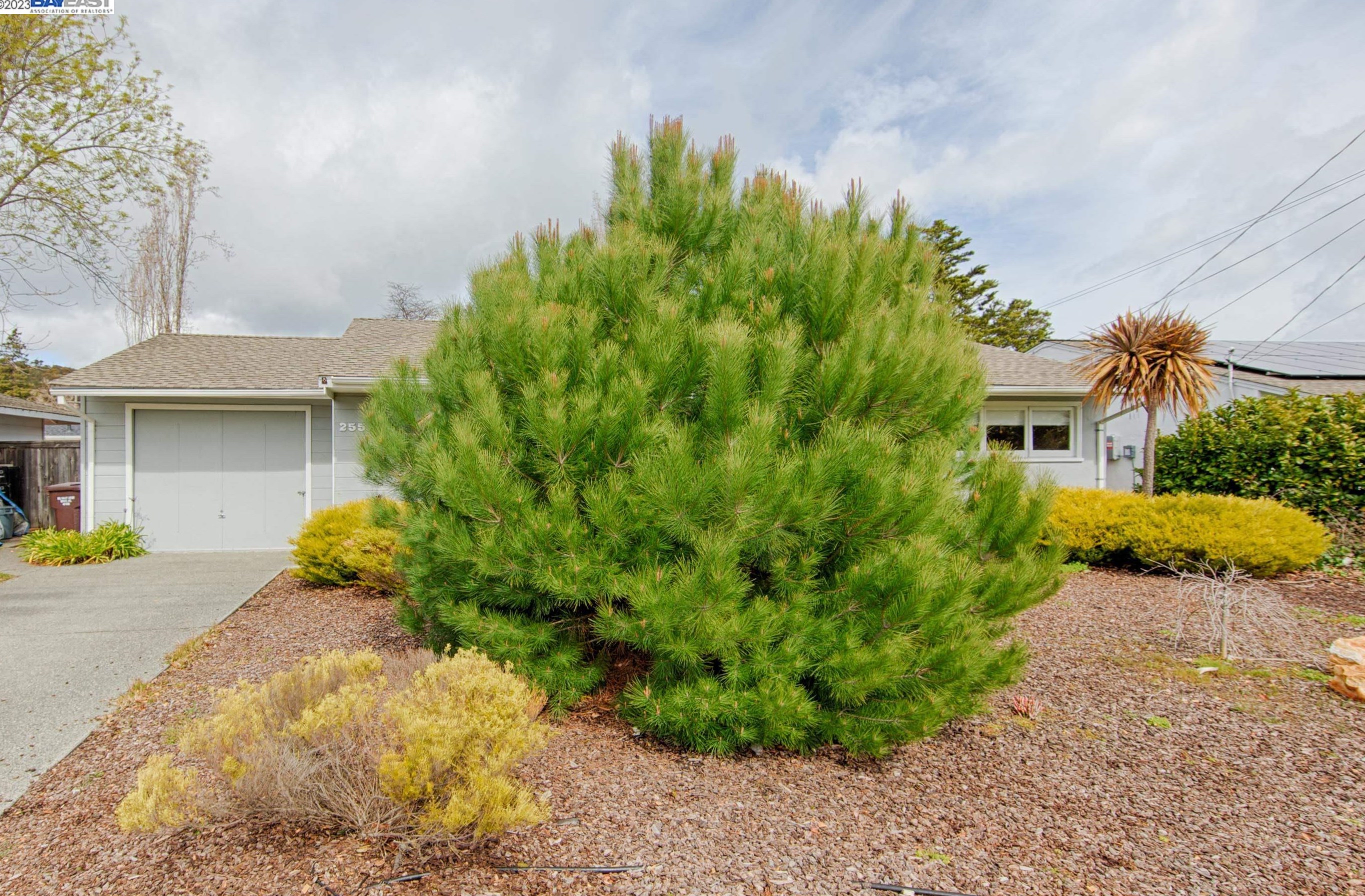 255 Cecilia Way, Tiburon CA  94920-2038 exterior