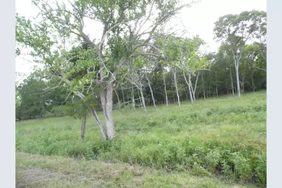 Fm 457 457 Sargent Hwy, Cedar Lane, TX 77415 - Photo 5