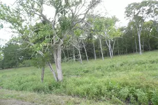 Fm 457 457 Sargent Hwy, Cedar Lane, TX 77415 - Photo 1