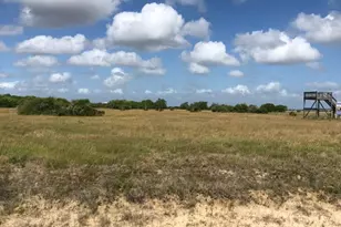 Lot 62 Falcon Way, Palacios, TX 77465 - Photo 1