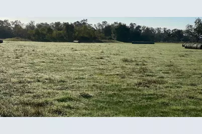 154 Bowie Rd, Cedar Lane, TX 77415 - Photo 3