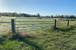 154 Bowie Rd, Cedar Lane, TX 77415 - Photo 1