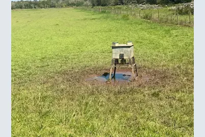 573 Cr 154, Cedar Lane, TX 77414 - Photo 11