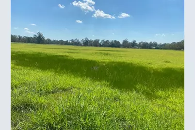 573 Cr 154, Cedar Lane, TX 77414 - Photo 5