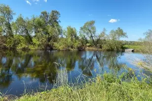 573 Cr 154, Cedar Lane, TX 77414 - Photo 1