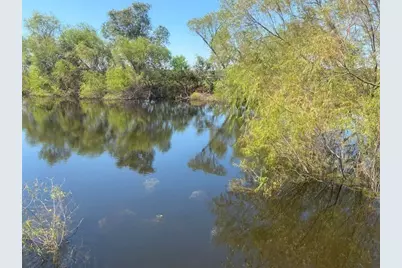 573 Cr 154, Cedar Lane, TX 77414 - Photo 7